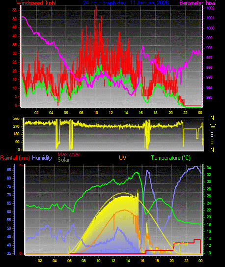 24 Hour Graph for Day 11