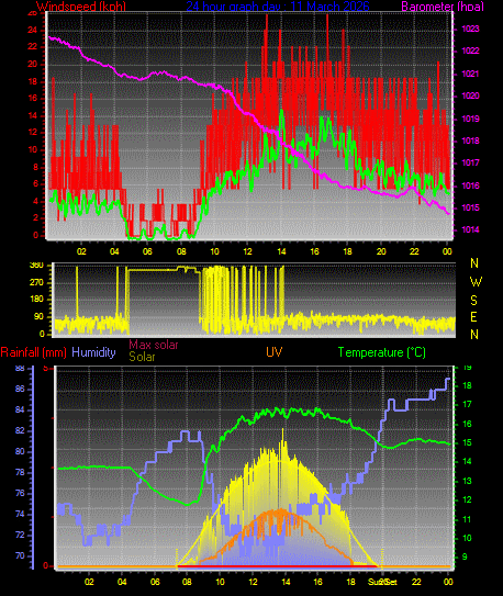 24 Hour Graph for Day 11